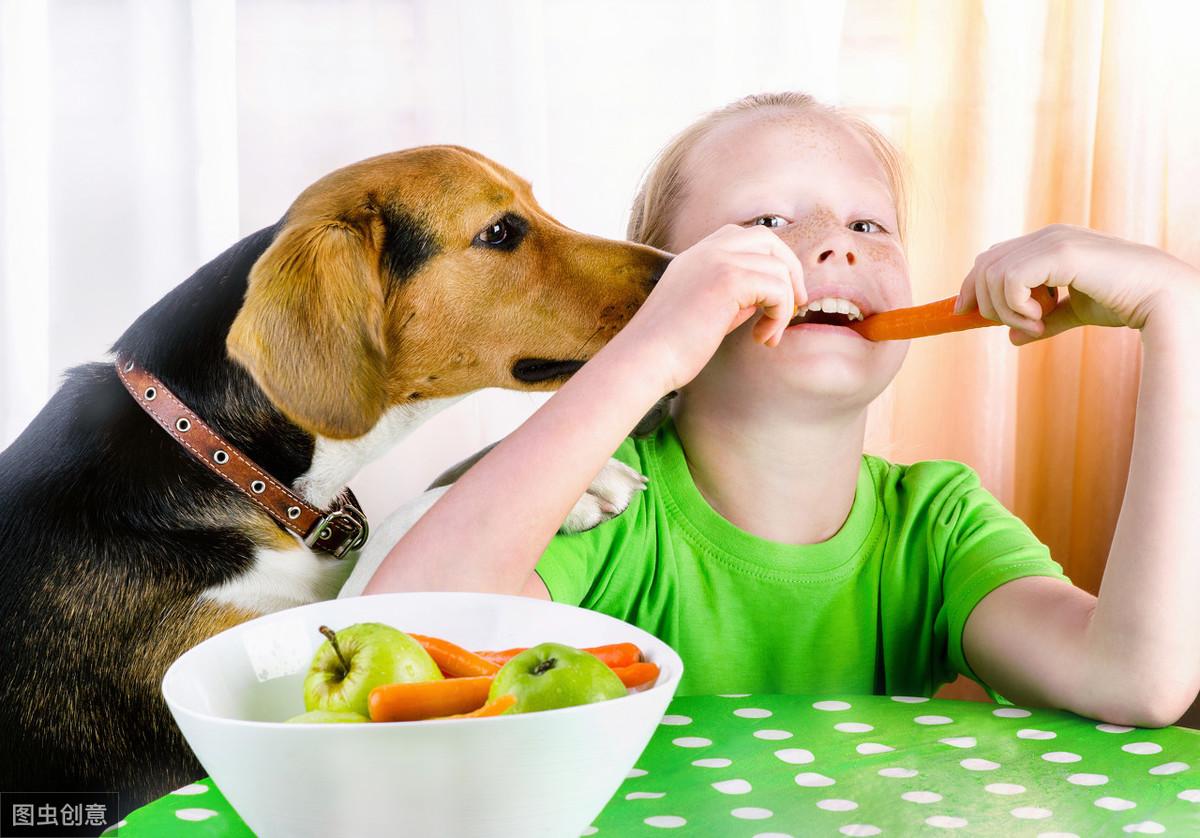 狗狗能吃芹菜吗会中毒吗（吃芹菜会死吗）缩略图